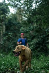 BIB: 
                            <button type="button" onclick="openModal(24876366)" class="btn btn-primary btn-sm float-right btn-popup" data-toggle="modal" data-target=".modal-high-quality">
                        <i class="fas fa-shopping-cart"></i> Add to Cart
                    </button>
                                            <button type="button" onclick="isThisMe(24876366, true)" class="btn btn-success btn-sm float-right btn-popup btn-isme hidden" data-toggle="tooltip" data-placement="bottom" title="นี่คือรูปของคุณใช่ไหม คลิกที่นี่เพื่อเอาเข้าอัลบั้ม">
                        <i class="fas fa-plus"></i> Add to album
                    </button>
                    <button type="button" onclick="isThisMe(24876366, false)" class="btn btn-warning btn-sm float-right btn-popup btn-isnotme hidden">
                        <i class="fas fa-ban"></i> Remove from album
                    </button>