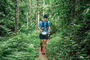 BIB: 5411
                            <button type="button" onclick="openModal(24878582)" class="btn btn-primary btn-sm float-right btn-popup" data-toggle="modal" data-target=".modal-high-quality">
                        <i class="fas fa-shopping-cart"></i> Add to Cart
                    </button>
                                            <button type="button" onclick="isThisMe(24878582, true)" class="btn btn-success btn-sm float-right btn-popup btn-isme hidden" data-toggle="tooltip" data-placement="bottom" title="นี่คือรูปของคุณใช่ไหม คลิกที่นี่เพื่อเอาเข้าอัลบั้ม">
                        <i class="fas fa-plus"></i> Add to album
                    </button>
                    <button type="button" onclick="isThisMe(24878582, false)" class="btn btn-warning btn-sm float-right btn-popup btn-isnotme hidden">
                        <i class="fas fa-ban"></i> Remove from album
                    </button>