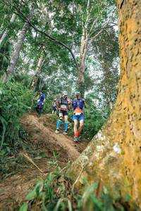 BIB: 
                            <button type="button" onclick="openModal(24856764)" class="btn btn-primary btn-sm float-right btn-popup" data-toggle="modal" data-target=".modal-high-quality">
                        <i class="fas fa-shopping-cart"></i> Add to Cart
                    </button>
                                            <button type="button" onclick="isThisMe(24856764, true)" class="btn btn-success btn-sm float-right btn-popup btn-isme hidden" data-toggle="tooltip" data-placement="bottom" title="นี่คือรูปของคุณใช่ไหม คลิกที่นี่เพื่อเอาเข้าอัลบั้ม">
                        <i class="fas fa-plus"></i> Add to album
                    </button>
                    <button type="button" onclick="isThisMe(24856764, false)" class="btn btn-warning btn-sm float-right btn-popup btn-isnotme hidden">
                        <i class="fas fa-ban"></i> Remove from album
                    </button>