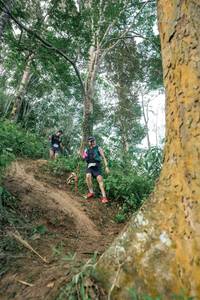 BIB: 
                            <button type="button" onclick="openModal(24856803)" class="btn btn-primary btn-sm float-right btn-popup" data-toggle="modal" data-target=".modal-high-quality">
                        <i class="fas fa-shopping-cart"></i> Add to Cart
                    </button>
                                            <button type="button" onclick="isThisMe(24856803, true)" class="btn btn-success btn-sm float-right btn-popup btn-isme hidden" data-toggle="tooltip" data-placement="bottom" title="นี่คือรูปของคุณใช่ไหม คลิกที่นี่เพื่อเอาเข้าอัลบั้ม">
                        <i class="fas fa-plus"></i> Add to album
                    </button>
                    <button type="button" onclick="isThisMe(24856803, false)" class="btn btn-warning btn-sm float-right btn-popup btn-isnotme hidden">
                        <i class="fas fa-ban"></i> Remove from album
                    </button>