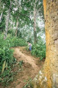 BIB: 
                            <button type="button" onclick="openModal(24855620)" class="btn btn-primary btn-sm float-right btn-popup" data-toggle="modal" data-target=".modal-high-quality">
                        <i class="fas fa-shopping-cart"></i> Add to Cart
                    </button>
                                            <button type="button" onclick="isThisMe(24855620, true)" class="btn btn-success btn-sm float-right btn-popup btn-isme hidden" data-toggle="tooltip" data-placement="bottom" title="นี่คือรูปของคุณใช่ไหม คลิกที่นี่เพื่อเอาเข้าอัลบั้ม">
                        <i class="fas fa-plus"></i> Add to album
                    </button>
                    <button type="button" onclick="isThisMe(24855620, false)" class="btn btn-warning btn-sm float-right btn-popup btn-isnotme hidden">
                        <i class="fas fa-ban"></i> Remove from album
                    </button>