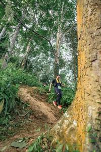 BIB: 
                            <button type="button" onclick="openModal(24856505)" class="btn btn-primary btn-sm float-right btn-popup" data-toggle="modal" data-target=".modal-high-quality">
                        <i class="fas fa-shopping-cart"></i> Add to Cart
                    </button>
                                            <button type="button" onclick="isThisMe(24856505, true)" class="btn btn-success btn-sm float-right btn-popup btn-isme hidden" data-toggle="tooltip" data-placement="bottom" title="นี่คือรูปของคุณใช่ไหม คลิกที่นี่เพื่อเอาเข้าอัลบั้ม">
                        <i class="fas fa-plus"></i> Add to album
                    </button>
                    <button type="button" onclick="isThisMe(24856505, false)" class="btn btn-warning btn-sm float-right btn-popup btn-isnotme hidden">
                        <i class="fas fa-ban"></i> Remove from album
                    </button>