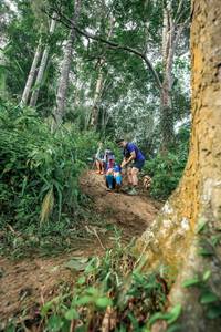 BIB: 
                            <button type="button" onclick="openModal(24856704)" class="btn btn-primary btn-sm float-right btn-popup" data-toggle="modal" data-target=".modal-high-quality">
                        <i class="fas fa-shopping-cart"></i> Add to Cart
                    </button>
                                            <button type="button" onclick="isThisMe(24856704, true)" class="btn btn-success btn-sm float-right btn-popup btn-isme hidden" data-toggle="tooltip" data-placement="bottom" title="นี่คือรูปของคุณใช่ไหม คลิกที่นี่เพื่อเอาเข้าอัลบั้ม">
                        <i class="fas fa-plus"></i> Add to album
                    </button>
                    <button type="button" onclick="isThisMe(24856704, false)" class="btn btn-warning btn-sm float-right btn-popup btn-isnotme hidden">
                        <i class="fas fa-ban"></i> Remove from album
                    </button>