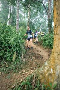 BIB: 
                            <button type="button" onclick="openModal(24852450)" class="btn btn-primary btn-sm float-right btn-popup" data-toggle="modal" data-target=".modal-high-quality">
                        <i class="fas fa-shopping-cart"></i> Add to Cart
                    </button>
                                            <button type="button" onclick="isThisMe(24852450, true)" class="btn btn-success btn-sm float-right btn-popup btn-isme hidden" data-toggle="tooltip" data-placement="bottom" title="นี่คือรูปของคุณใช่ไหม คลิกที่นี่เพื่อเอาเข้าอัลบั้ม">
                        <i class="fas fa-plus"></i> Add to album
                    </button>
                    <button type="button" onclick="isThisMe(24852450, false)" class="btn btn-warning btn-sm float-right btn-popup btn-isnotme hidden">
                        <i class="fas fa-ban"></i> Remove from album
                    </button>