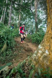 BIB: 
                            <button type="button" onclick="openModal(24853153)" class="btn btn-primary btn-sm float-right btn-popup" data-toggle="modal" data-target=".modal-high-quality">
                        <i class="fas fa-shopping-cart"></i> Add to Cart
                    </button>
                                            <button type="button" onclick="isThisMe(24853153, true)" class="btn btn-success btn-sm float-right btn-popup btn-isme hidden" data-toggle="tooltip" data-placement="bottom" title="นี่คือรูปของคุณใช่ไหม คลิกที่นี่เพื่อเอาเข้าอัลบั้ม">
                        <i class="fas fa-plus"></i> Add to album
                    </button>
                    <button type="button" onclick="isThisMe(24853153, false)" class="btn btn-warning btn-sm float-right btn-popup btn-isnotme hidden">
                        <i class="fas fa-ban"></i> Remove from album
                    </button>