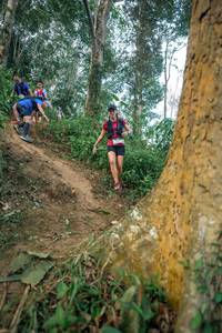 BIB: 
                            <button type="button" onclick="openModal(24852715)" class="btn btn-primary btn-sm float-right btn-popup" data-toggle="modal" data-target=".modal-high-quality">
                        <i class="fas fa-shopping-cart"></i> Add to Cart
                    </button>
                                            <button type="button" onclick="isThisMe(24852715, true)" class="btn btn-success btn-sm float-right btn-popup btn-isme hidden" data-toggle="tooltip" data-placement="bottom" title="นี่คือรูปของคุณใช่ไหม คลิกที่นี่เพื่อเอาเข้าอัลบั้ม">
                        <i class="fas fa-plus"></i> Add to album
                    </button>
                    <button type="button" onclick="isThisMe(24852715, false)" class="btn btn-warning btn-sm float-right btn-popup btn-isnotme hidden">
                        <i class="fas fa-ban"></i> Remove from album
                    </button>