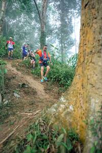 BIB: 
                            <button type="button" onclick="openModal(24852314)" class="btn btn-primary btn-sm float-right btn-popup" data-toggle="modal" data-target=".modal-high-quality">
                        <i class="fas fa-shopping-cart"></i> Add to Cart
                    </button>
                                            <button type="button" onclick="isThisMe(24852314, true)" class="btn btn-success btn-sm float-right btn-popup btn-isme hidden" data-toggle="tooltip" data-placement="bottom" title="นี่คือรูปของคุณใช่ไหม คลิกที่นี่เพื่อเอาเข้าอัลบั้ม">
                        <i class="fas fa-plus"></i> Add to album
                    </button>
                    <button type="button" onclick="isThisMe(24852314, false)" class="btn btn-warning btn-sm float-right btn-popup btn-isnotme hidden">
                        <i class="fas fa-ban"></i> Remove from album
                    </button>