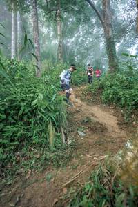 BIB: 
                            <button type="button" onclick="openModal(24852279)" class="btn btn-primary btn-sm float-right btn-popup" data-toggle="modal" data-target=".modal-high-quality">
                        <i class="fas fa-shopping-cart"></i> Add to Cart
                    </button>
                                            <button type="button" onclick="isThisMe(24852279, true)" class="btn btn-success btn-sm float-right btn-popup btn-isme hidden" data-toggle="tooltip" data-placement="bottom" title="นี่คือรูปของคุณใช่ไหม คลิกที่นี่เพื่อเอาเข้าอัลบั้ม">
                        <i class="fas fa-plus"></i> Add to album
                    </button>
                    <button type="button" onclick="isThisMe(24852279, false)" class="btn btn-warning btn-sm float-right btn-popup btn-isnotme hidden">
                        <i class="fas fa-ban"></i> Remove from album
                    </button>