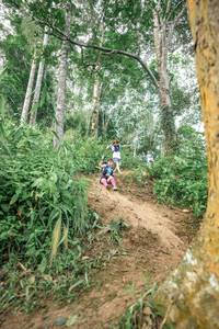 BIB: 
                            <button type="button" onclick="openModal(24855659)" class="btn btn-primary btn-sm float-right btn-popup" data-toggle="modal" data-target=".modal-high-quality">
                        <i class="fas fa-shopping-cart"></i> Add to Cart
                    </button>
                                            <button type="button" onclick="isThisMe(24855659, true)" class="btn btn-success btn-sm float-right btn-popup btn-isme hidden" data-toggle="tooltip" data-placement="bottom" title="นี่คือรูปของคุณใช่ไหม คลิกที่นี่เพื่อเอาเข้าอัลบั้ม">
                        <i class="fas fa-plus"></i> Add to album
                    </button>
                    <button type="button" onclick="isThisMe(24855659, false)" class="btn btn-warning btn-sm float-right btn-popup btn-isnotme hidden">
                        <i class="fas fa-ban"></i> Remove from album
                    </button>