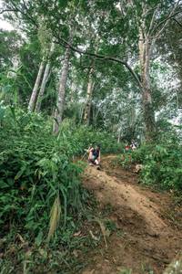 BIB: 
                            <button type="button" onclick="openModal(24856616)" class="btn btn-primary btn-sm float-right btn-popup" data-toggle="modal" data-target=".modal-high-quality">
                        <i class="fas fa-shopping-cart"></i> Add to Cart
                    </button>
                                            <button type="button" onclick="isThisMe(24856616, true)" class="btn btn-success btn-sm float-right btn-popup btn-isme hidden" data-toggle="tooltip" data-placement="bottom" title="นี่คือรูปของคุณใช่ไหม คลิกที่นี่เพื่อเอาเข้าอัลบั้ม">
                        <i class="fas fa-plus"></i> Add to album
                    </button>
                    <button type="button" onclick="isThisMe(24856616, false)" class="btn btn-warning btn-sm float-right btn-popup btn-isnotme hidden">
                        <i class="fas fa-ban"></i> Remove from album
                    </button>