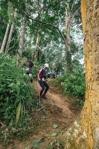 BIB: 
                            <button type="button" onclick="openModal(24856166)" class="btn btn-primary btn-sm float-right btn-popup" data-toggle="modal" data-target=".modal-high-quality">
                        <i class="fas fa-shopping-cart"></i> Add to Cart
                    </button>
                                            <button type="button" onclick="isThisMe(24856166, true)" class="btn btn-success btn-sm float-right btn-popup btn-isme hidden" data-toggle="tooltip" data-placement="bottom" title="นี่คือรูปของคุณใช่ไหม คลิกที่นี่เพื่อเอาเข้าอัลบั้ม">
                        <i class="fas fa-plus"></i> Add to album
                    </button>
                    <button type="button" onclick="isThisMe(24856166, false)" class="btn btn-warning btn-sm float-right btn-popup btn-isnotme hidden">
                        <i class="fas fa-ban"></i> Remove from album
                    </button>