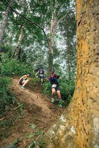 BIB: 
                            <button type="button" onclick="openModal(24856253)" class="btn btn-primary btn-sm float-right btn-popup" data-toggle="modal" data-target=".modal-high-quality">
                        <i class="fas fa-shopping-cart"></i> Add to Cart
                    </button>
                                            <button type="button" onclick="isThisMe(24856253, true)" class="btn btn-success btn-sm float-right btn-popup btn-isme hidden" data-toggle="tooltip" data-placement="bottom" title="นี่คือรูปของคุณใช่ไหม คลิกที่นี่เพื่อเอาเข้าอัลบั้ม">
                        <i class="fas fa-plus"></i> Add to album
                    </button>
                    <button type="button" onclick="isThisMe(24856253, false)" class="btn btn-warning btn-sm float-right btn-popup btn-isnotme hidden">
                        <i class="fas fa-ban"></i> Remove from album
                    </button>