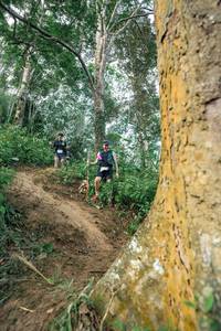 BIB: 
                            <button type="button" onclick="openModal(24856800)" class="btn btn-primary btn-sm float-right btn-popup" data-toggle="modal" data-target=".modal-high-quality">
                        <i class="fas fa-shopping-cart"></i> Add to Cart
                    </button>
                                            <button type="button" onclick="isThisMe(24856800, true)" class="btn btn-success btn-sm float-right btn-popup btn-isme hidden" data-toggle="tooltip" data-placement="bottom" title="นี่คือรูปของคุณใช่ไหม คลิกที่นี่เพื่อเอาเข้าอัลบั้ม">
                        <i class="fas fa-plus"></i> Add to album
                    </button>
                    <button type="button" onclick="isThisMe(24856800, false)" class="btn btn-warning btn-sm float-right btn-popup btn-isnotme hidden">
                        <i class="fas fa-ban"></i> Remove from album
                    </button>