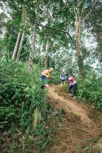 BIB: 
                            <button type="button" onclick="openModal(24855886)" class="btn btn-primary btn-sm float-right btn-popup" data-toggle="modal" data-target=".modal-high-quality">
                        <i class="fas fa-shopping-cart"></i> Add to Cart
                    </button>
                                            <button type="button" onclick="isThisMe(24855886, true)" class="btn btn-success btn-sm float-right btn-popup btn-isme hidden" data-toggle="tooltip" data-placement="bottom" title="นี่คือรูปของคุณใช่ไหม คลิกที่นี่เพื่อเอาเข้าอัลบั้ม">
                        <i class="fas fa-plus"></i> Add to album
                    </button>
                    <button type="button" onclick="isThisMe(24855886, false)" class="btn btn-warning btn-sm float-right btn-popup btn-isnotme hidden">
                        <i class="fas fa-ban"></i> Remove from album
                    </button>