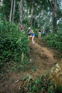 BIB: 
                            <button type="button" onclick="openModal(24852839)" class="btn btn-primary btn-sm float-right btn-popup" data-toggle="modal" data-target=".modal-high-quality">
                        <i class="fas fa-shopping-cart"></i> Add to Cart
                    </button>
                                            <button type="button" onclick="isThisMe(24852839, true)" class="btn btn-success btn-sm float-right btn-popup btn-isme hidden" data-toggle="tooltip" data-placement="bottom" title="นี่คือรูปของคุณใช่ไหม คลิกที่นี่เพื่อเอาเข้าอัลบั้ม">
                        <i class="fas fa-plus"></i> Add to album
                    </button>
                    <button type="button" onclick="isThisMe(24852839, false)" class="btn btn-warning btn-sm float-right btn-popup btn-isnotme hidden">
                        <i class="fas fa-ban"></i> Remove from album
                    </button>