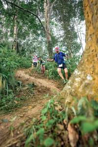 BIB: 
                            <button type="button" onclick="openModal(24856033)" class="btn btn-primary btn-sm float-right btn-popup" data-toggle="modal" data-target=".modal-high-quality">
                        <i class="fas fa-shopping-cart"></i> Add to Cart
                    </button>
                                            <button type="button" onclick="isThisMe(24856033, true)" class="btn btn-success btn-sm float-right btn-popup btn-isme hidden" data-toggle="tooltip" data-placement="bottom" title="นี่คือรูปของคุณใช่ไหม คลิกที่นี่เพื่อเอาเข้าอัลบั้ม">
                        <i class="fas fa-plus"></i> Add to album
                    </button>
                    <button type="button" onclick="isThisMe(24856033, false)" class="btn btn-warning btn-sm float-right btn-popup btn-isnotme hidden">
                        <i class="fas fa-ban"></i> Remove from album
                    </button>