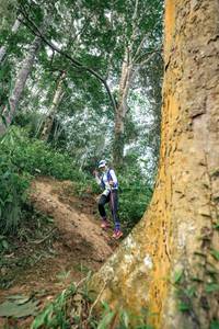 BIB: 
                            <button type="button" onclick="openModal(24856570)" class="btn btn-primary btn-sm float-right btn-popup" data-toggle="modal" data-target=".modal-high-quality">
                        <i class="fas fa-shopping-cart"></i> Add to Cart
                    </button>
                                            <button type="button" onclick="isThisMe(24856570, true)" class="btn btn-success btn-sm float-right btn-popup btn-isme hidden" data-toggle="tooltip" data-placement="bottom" title="นี่คือรูปของคุณใช่ไหม คลิกที่นี่เพื่อเอาเข้าอัลบั้ม">
                        <i class="fas fa-plus"></i> Add to album
                    </button>
                    <button type="button" onclick="isThisMe(24856570, false)" class="btn btn-warning btn-sm float-right btn-popup btn-isnotme hidden">
                        <i class="fas fa-ban"></i> Remove from album
                    </button>