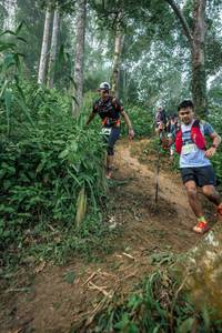 BIB: 2639
                            <button type="button" onclick="openModal(24852551)" class="btn btn-primary btn-sm float-right btn-popup" data-toggle="modal" data-target=".modal-high-quality">
                        <i class="fas fa-shopping-cart"></i> Add to Cart
                    </button>
                                            <button type="button" onclick="isThisMe(24852551, true)" class="btn btn-success btn-sm float-right btn-popup btn-isme hidden" data-toggle="tooltip" data-placement="bottom" title="นี่คือรูปของคุณใช่ไหม คลิกที่นี่เพื่อเอาเข้าอัลบั้ม">
                        <i class="fas fa-plus"></i> Add to album
                    </button>
                    <button type="button" onclick="isThisMe(24852551, false)" class="btn btn-warning btn-sm float-right btn-popup btn-isnotme hidden">
                        <i class="fas fa-ban"></i> Remove from album
                    </button>