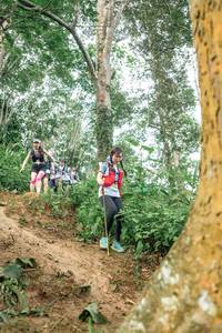 BIB: 
                            <button type="button" onclick="openModal(24854912)" class="btn btn-primary btn-sm float-right btn-popup" data-toggle="modal" data-target=".modal-high-quality">
                        <i class="fas fa-shopping-cart"></i> Add to Cart
                    </button>
                                            <button type="button" onclick="isThisMe(24854912, true)" class="btn btn-success btn-sm float-right btn-popup btn-isme hidden" data-toggle="tooltip" data-placement="bottom" title="นี่คือรูปของคุณใช่ไหม คลิกที่นี่เพื่อเอาเข้าอัลบั้ม">
                        <i class="fas fa-plus"></i> Add to album
                    </button>
                    <button type="button" onclick="isThisMe(24854912, false)" class="btn btn-warning btn-sm float-right btn-popup btn-isnotme hidden">
                        <i class="fas fa-ban"></i> Remove from album
                    </button>