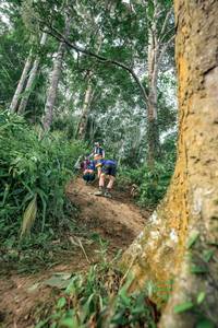 BIB: 
                            <button type="button" onclick="openModal(24856684)" class="btn btn-primary btn-sm float-right btn-popup" data-toggle="modal" data-target=".modal-high-quality">
                        <i class="fas fa-shopping-cart"></i> Add to Cart
                    </button>
                                            <button type="button" onclick="isThisMe(24856684, true)" class="btn btn-success btn-sm float-right btn-popup btn-isme hidden" data-toggle="tooltip" data-placement="bottom" title="นี่คือรูปของคุณใช่ไหม คลิกที่นี่เพื่อเอาเข้าอัลบั้ม">
                        <i class="fas fa-plus"></i> Add to album
                    </button>
                    <button type="button" onclick="isThisMe(24856684, false)" class="btn btn-warning btn-sm float-right btn-popup btn-isnotme hidden">
                        <i class="fas fa-ban"></i> Remove from album
                    </button>