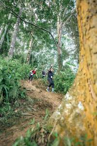 BIB: 
                            <button type="button" onclick="openModal(24854260)" class="btn btn-primary btn-sm float-right btn-popup" data-toggle="modal" data-target=".modal-high-quality">
                        <i class="fas fa-shopping-cart"></i> Add to Cart
                    </button>
                                            <button type="button" onclick="isThisMe(24854260, true)" class="btn btn-success btn-sm float-right btn-popup btn-isme hidden" data-toggle="tooltip" data-placement="bottom" title="นี่คือรูปของคุณใช่ไหม คลิกที่นี่เพื่อเอาเข้าอัลบั้ม">
                        <i class="fas fa-plus"></i> Add to album
                    </button>
                    <button type="button" onclick="isThisMe(24854260, false)" class="btn btn-warning btn-sm float-right btn-popup btn-isnotme hidden">
                        <i class="fas fa-ban"></i> Remove from album
                    </button>