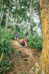 BIB: 
                            <button type="button" onclick="openModal(24854706)" class="btn btn-primary btn-sm float-right btn-popup" data-toggle="modal" data-target=".modal-high-quality">
                        <i class="fas fa-shopping-cart"></i> Add to Cart
                    </button>
                                            <button type="button" onclick="isThisMe(24854706, true)" class="btn btn-success btn-sm float-right btn-popup btn-isme hidden" data-toggle="tooltip" data-placement="bottom" title="นี่คือรูปของคุณใช่ไหม คลิกที่นี่เพื่อเอาเข้าอัลบั้ม">
                        <i class="fas fa-plus"></i> Add to album
                    </button>
                    <button type="button" onclick="isThisMe(24854706, false)" class="btn btn-warning btn-sm float-right btn-popup btn-isnotme hidden">
                        <i class="fas fa-ban"></i> Remove from album
                    </button>