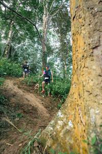 BIB: 
                            <button type="button" onclick="openModal(24856801)" class="btn btn-primary btn-sm float-right btn-popup" data-toggle="modal" data-target=".modal-high-quality">
                        <i class="fas fa-shopping-cart"></i> Add to Cart
                    </button>
                                            <button type="button" onclick="isThisMe(24856801, true)" class="btn btn-success btn-sm float-right btn-popup btn-isme hidden" data-toggle="tooltip" data-placement="bottom" title="นี่คือรูปของคุณใช่ไหม คลิกที่นี่เพื่อเอาเข้าอัลบั้ม">
                        <i class="fas fa-plus"></i> Add to album
                    </button>
                    <button type="button" onclick="isThisMe(24856801, false)" class="btn btn-warning btn-sm float-right btn-popup btn-isnotme hidden">
                        <i class="fas fa-ban"></i> Remove from album
                    </button>