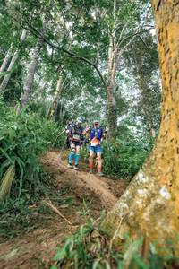 BIB: 
                            <button type="button" onclick="openModal(24856760)" class="btn btn-primary btn-sm float-right btn-popup" data-toggle="modal" data-target=".modal-high-quality">
                        <i class="fas fa-shopping-cart"></i> Add to Cart
                    </button>
                                            <button type="button" onclick="isThisMe(24856760, true)" class="btn btn-success btn-sm float-right btn-popup btn-isme hidden" data-toggle="tooltip" data-placement="bottom" title="นี่คือรูปของคุณใช่ไหม คลิกที่นี่เพื่อเอาเข้าอัลบั้ม">
                        <i class="fas fa-plus"></i> Add to album
                    </button>
                    <button type="button" onclick="isThisMe(24856760, false)" class="btn btn-warning btn-sm float-right btn-popup btn-isnotme hidden">
                        <i class="fas fa-ban"></i> Remove from album
                    </button>