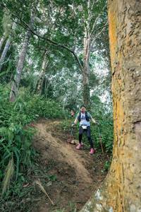 BIB: 
                            <button type="button" onclick="openModal(24856837)" class="btn btn-primary btn-sm float-right btn-popup" data-toggle="modal" data-target=".modal-high-quality">
                        <i class="fas fa-shopping-cart"></i> Add to Cart
                    </button>
                                            <button type="button" onclick="isThisMe(24856837, true)" class="btn btn-success btn-sm float-right btn-popup btn-isme hidden" data-toggle="tooltip" data-placement="bottom" title="นี่คือรูปของคุณใช่ไหม คลิกที่นี่เพื่อเอาเข้าอัลบั้ม">
                        <i class="fas fa-plus"></i> Add to album
                    </button>
                    <button type="button" onclick="isThisMe(24856837, false)" class="btn btn-warning btn-sm float-right btn-popup btn-isnotme hidden">
                        <i class="fas fa-ban"></i> Remove from album
                    </button>