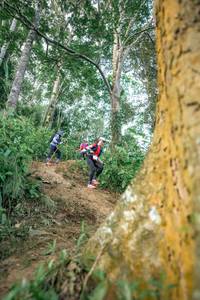 BIB: 
                            <button type="button" onclick="openModal(24854277)" class="btn btn-primary btn-sm float-right btn-popup" data-toggle="modal" data-target=".modal-high-quality">
                        <i class="fas fa-shopping-cart"></i> Add to Cart
                    </button>
                                            <button type="button" onclick="isThisMe(24854277, true)" class="btn btn-success btn-sm float-right btn-popup btn-isme hidden" data-toggle="tooltip" data-placement="bottom" title="นี่คือรูปของคุณใช่ไหม คลิกที่นี่เพื่อเอาเข้าอัลบั้ม">
                        <i class="fas fa-plus"></i> Add to album
                    </button>
                    <button type="button" onclick="isThisMe(24854277, false)" class="btn btn-warning btn-sm float-right btn-popup btn-isnotme hidden">
                        <i class="fas fa-ban"></i> Remove from album
                    </button>