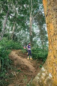 BIB: 
                            <button type="button" onclick="openModal(24856648)" class="btn btn-primary btn-sm float-right btn-popup" data-toggle="modal" data-target=".modal-high-quality">
                        <i class="fas fa-shopping-cart"></i> Add to Cart
                    </button>
                                            <button type="button" onclick="isThisMe(24856648, true)" class="btn btn-success btn-sm float-right btn-popup btn-isme hidden" data-toggle="tooltip" data-placement="bottom" title="นี่คือรูปของคุณใช่ไหม คลิกที่นี่เพื่อเอาเข้าอัลบั้ม">
                        <i class="fas fa-plus"></i> Add to album
                    </button>
                    <button type="button" onclick="isThisMe(24856648, false)" class="btn btn-warning btn-sm float-right btn-popup btn-isnotme hidden">
                        <i class="fas fa-ban"></i> Remove from album
                    </button>