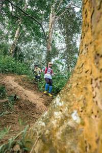 BIB: 
                            <button type="button" onclick="openModal(24856093)" class="btn btn-primary btn-sm float-right btn-popup" data-toggle="modal" data-target=".modal-high-quality">
                        <i class="fas fa-shopping-cart"></i> Add to Cart
                    </button>
                                            <button type="button" onclick="isThisMe(24856093, true)" class="btn btn-success btn-sm float-right btn-popup btn-isme hidden" data-toggle="tooltip" data-placement="bottom" title="นี่คือรูปของคุณใช่ไหม คลิกที่นี่เพื่อเอาเข้าอัลบั้ม">
                        <i class="fas fa-plus"></i> Add to album
                    </button>
                    <button type="button" onclick="isThisMe(24856093, false)" class="btn btn-warning btn-sm float-right btn-popup btn-isnotme hidden">
                        <i class="fas fa-ban"></i> Remove from album
                    </button>