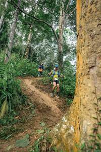 BIB: 
                            <button type="button" onclick="openModal(24856296)" class="btn btn-primary btn-sm float-right btn-popup" data-toggle="modal" data-target=".modal-high-quality">
                        <i class="fas fa-shopping-cart"></i> Add to Cart
                    </button>
                                            <button type="button" onclick="isThisMe(24856296, true)" class="btn btn-success btn-sm float-right btn-popup btn-isme hidden" data-toggle="tooltip" data-placement="bottom" title="นี่คือรูปของคุณใช่ไหม คลิกที่นี่เพื่อเอาเข้าอัลบั้ม">
                        <i class="fas fa-plus"></i> Add to album
                    </button>
                    <button type="button" onclick="isThisMe(24856296, false)" class="btn btn-warning btn-sm float-right btn-popup btn-isnotme hidden">
                        <i class="fas fa-ban"></i> Remove from album
                    </button>