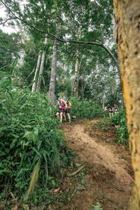 BIB: 
                            <button type="button" onclick="openModal(24856351)" class="btn btn-primary btn-sm float-right btn-popup" data-toggle="modal" data-target=".modal-high-quality">
                        <i class="fas fa-shopping-cart"></i> Add to Cart
                    </button>
                                            <button type="button" onclick="isThisMe(24856351, true)" class="btn btn-success btn-sm float-right btn-popup btn-isme hidden" data-toggle="tooltip" data-placement="bottom" title="นี่คือรูปของคุณใช่ไหม คลิกที่นี่เพื่อเอาเข้าอัลบั้ม">
                        <i class="fas fa-plus"></i> Add to album
                    </button>
                    <button type="button" onclick="isThisMe(24856351, false)" class="btn btn-warning btn-sm float-right btn-popup btn-isnotme hidden">
                        <i class="fas fa-ban"></i> Remove from album
                    </button>