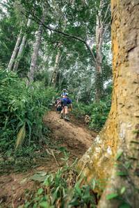 BIB: 
                            <button type="button" onclick="openModal(24856680)" class="btn btn-primary btn-sm float-right btn-popup" data-toggle="modal" data-target=".modal-high-quality">
                        <i class="fas fa-shopping-cart"></i> Add to Cart
                    </button>
                                            <button type="button" onclick="isThisMe(24856680, true)" class="btn btn-success btn-sm float-right btn-popup btn-isme hidden" data-toggle="tooltip" data-placement="bottom" title="นี่คือรูปของคุณใช่ไหม คลิกที่นี่เพื่อเอาเข้าอัลบั้ม">
                        <i class="fas fa-plus"></i> Add to album
                    </button>
                    <button type="button" onclick="isThisMe(24856680, false)" class="btn btn-warning btn-sm float-right btn-popup btn-isnotme hidden">
                        <i class="fas fa-ban"></i> Remove from album
                    </button>