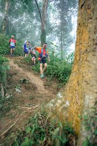 BIB: 
                            <button type="button" onclick="openModal(24852313)" class="btn btn-primary btn-sm float-right btn-popup" data-toggle="modal" data-target=".modal-high-quality">
                        <i class="fas fa-shopping-cart"></i> Add to Cart
                    </button>
                                            <button type="button" onclick="isThisMe(24852313, true)" class="btn btn-success btn-sm float-right btn-popup btn-isme hidden" data-toggle="tooltip" data-placement="bottom" title="นี่คือรูปของคุณใช่ไหม คลิกที่นี่เพื่อเอาเข้าอัลบั้ม">
                        <i class="fas fa-plus"></i> Add to album
                    </button>
                    <button type="button" onclick="isThisMe(24852313, false)" class="btn btn-warning btn-sm float-right btn-popup btn-isnotme hidden">
                        <i class="fas fa-ban"></i> Remove from album
                    </button>