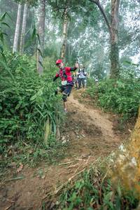 BIB: 
                            <button type="button" onclick="openModal(24852406)" class="btn btn-primary btn-sm float-right btn-popup" data-toggle="modal" data-target=".modal-high-quality">
                        <i class="fas fa-shopping-cart"></i> Add to Cart
                    </button>
                                            <button type="button" onclick="isThisMe(24852406, true)" class="btn btn-success btn-sm float-right btn-popup btn-isme hidden" data-toggle="tooltip" data-placement="bottom" title="นี่คือรูปของคุณใช่ไหม คลิกที่นี่เพื่อเอาเข้าอัลบั้ม">
                        <i class="fas fa-plus"></i> Add to album
                    </button>
                    <button type="button" onclick="isThisMe(24852406, false)" class="btn btn-warning btn-sm float-right btn-popup btn-isnotme hidden">
                        <i class="fas fa-ban"></i> Remove from album
                    </button>