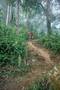 BIB: 
                            <button type="button" onclick="openModal(24852236)" class="btn btn-primary btn-sm float-right btn-popup" data-toggle="modal" data-target=".modal-high-quality">
                        <i class="fas fa-shopping-cart"></i> Add to Cart
                    </button>
                                            <button type="button" onclick="isThisMe(24852236, true)" class="btn btn-success btn-sm float-right btn-popup btn-isme hidden" data-toggle="tooltip" data-placement="bottom" title="นี่คือรูปของคุณใช่ไหม คลิกที่นี่เพื่อเอาเข้าอัลบั้ม">
                        <i class="fas fa-plus"></i> Add to album
                    </button>
                    <button type="button" onclick="isThisMe(24852236, false)" class="btn btn-warning btn-sm float-right btn-popup btn-isnotme hidden">
                        <i class="fas fa-ban"></i> Remove from album
                    </button>