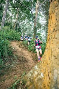 BIB: 
                            <button type="button" onclick="openModal(24854026)" class="btn btn-primary btn-sm float-right btn-popup" data-toggle="modal" data-target=".modal-high-quality">
                        <i class="fas fa-shopping-cart"></i> Add to Cart
                    </button>
                                            <button type="button" onclick="isThisMe(24854026, true)" class="btn btn-success btn-sm float-right btn-popup btn-isme hidden" data-toggle="tooltip" data-placement="bottom" title="นี่คือรูปของคุณใช่ไหม คลิกที่นี่เพื่อเอาเข้าอัลบั้ม">
                        <i class="fas fa-plus"></i> Add to album
                    </button>
                    <button type="button" onclick="isThisMe(24854026, false)" class="btn btn-warning btn-sm float-right btn-popup btn-isnotme hidden">
                        <i class="fas fa-ban"></i> Remove from album
                    </button>