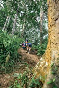 BIB: 
                            <button type="button" onclick="openModal(24856681)" class="btn btn-primary btn-sm float-right btn-popup" data-toggle="modal" data-target=".modal-high-quality">
                        <i class="fas fa-shopping-cart"></i> Add to Cart
                    </button>
                                            <button type="button" onclick="isThisMe(24856681, true)" class="btn btn-success btn-sm float-right btn-popup btn-isme hidden" data-toggle="tooltip" data-placement="bottom" title="นี่คือรูปของคุณใช่ไหม คลิกที่นี่เพื่อเอาเข้าอัลบั้ม">
                        <i class="fas fa-plus"></i> Add to album
                    </button>
                    <button type="button" onclick="isThisMe(24856681, false)" class="btn btn-warning btn-sm float-right btn-popup btn-isnotme hidden">
                        <i class="fas fa-ban"></i> Remove from album
                    </button>