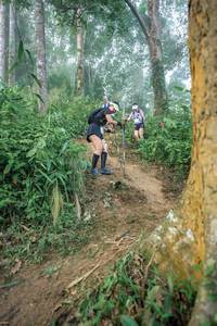 BIB: 
                            <button type="button" onclick="openModal(24852374)" class="btn btn-primary btn-sm float-right btn-popup" data-toggle="modal" data-target=".modal-high-quality">
                        <i class="fas fa-shopping-cart"></i> Add to Cart
                    </button>
                                            <button type="button" onclick="isThisMe(24852374, true)" class="btn btn-success btn-sm float-right btn-popup btn-isme hidden" data-toggle="tooltip" data-placement="bottom" title="นี่คือรูปของคุณใช่ไหม คลิกที่นี่เพื่อเอาเข้าอัลบั้ม">
                        <i class="fas fa-plus"></i> Add to album
                    </button>
                    <button type="button" onclick="isThisMe(24852374, false)" class="btn btn-warning btn-sm float-right btn-popup btn-isnotme hidden">
                        <i class="fas fa-ban"></i> Remove from album
                    </button>