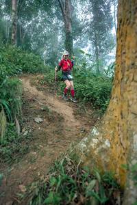 BIB: 
                            <button type="button" onclick="openModal(24852064)" class="btn btn-primary btn-sm float-right btn-popup" data-toggle="modal" data-target=".modal-high-quality">
                        <i class="fas fa-shopping-cart"></i> Add to Cart
                    </button>
                                            <button type="button" onclick="isThisMe(24852064, true)" class="btn btn-success btn-sm float-right btn-popup btn-isme hidden" data-toggle="tooltip" data-placement="bottom" title="นี่คือรูปของคุณใช่ไหม คลิกที่นี่เพื่อเอาเข้าอัลบั้ม">
                        <i class="fas fa-plus"></i> Add to album
                    </button>
                    <button type="button" onclick="isThisMe(24852064, false)" class="btn btn-warning btn-sm float-right btn-popup btn-isnotme hidden">
                        <i class="fas fa-ban"></i> Remove from album
                    </button>