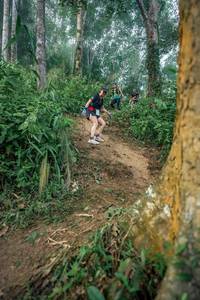 BIB: 
                            <button type="button" onclick="openModal(24852523)" class="btn btn-primary btn-sm float-right btn-popup" data-toggle="modal" data-target=".modal-high-quality">
                        <i class="fas fa-shopping-cart"></i> Add to Cart
                    </button>
                                            <button type="button" onclick="isThisMe(24852523, true)" class="btn btn-success btn-sm float-right btn-popup btn-isme hidden" data-toggle="tooltip" data-placement="bottom" title="นี่คือรูปของคุณใช่ไหม คลิกที่นี่เพื่อเอาเข้าอัลบั้ม">
                        <i class="fas fa-plus"></i> Add to album
                    </button>
                    <button type="button" onclick="isThisMe(24852523, false)" class="btn btn-warning btn-sm float-right btn-popup btn-isnotme hidden">
                        <i class="fas fa-ban"></i> Remove from album
                    </button>