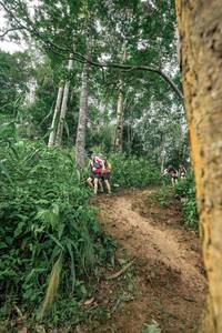 BIB: 
                            <button type="button" onclick="openModal(24856352)" class="btn btn-primary btn-sm float-right btn-popup" data-toggle="modal" data-target=".modal-high-quality">
                        <i class="fas fa-shopping-cart"></i> Add to Cart
                    </button>
                                            <button type="button" onclick="isThisMe(24856352, true)" class="btn btn-success btn-sm float-right btn-popup btn-isme hidden" data-toggle="tooltip" data-placement="bottom" title="นี่คือรูปของคุณใช่ไหม คลิกที่นี่เพื่อเอาเข้าอัลบั้ม">
                        <i class="fas fa-plus"></i> Add to album
                    </button>
                    <button type="button" onclick="isThisMe(24856352, false)" class="btn btn-warning btn-sm float-right btn-popup btn-isnotme hidden">
                        <i class="fas fa-ban"></i> Remove from album
                    </button>