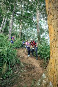 BIB: 
                            <button type="button" onclick="openModal(24854356)" class="btn btn-primary btn-sm float-right btn-popup" data-toggle="modal" data-target=".modal-high-quality">
                        <i class="fas fa-shopping-cart"></i> Add to Cart
                    </button>
                                            <button type="button" onclick="isThisMe(24854356, true)" class="btn btn-success btn-sm float-right btn-popup btn-isme hidden" data-toggle="tooltip" data-placement="bottom" title="นี่คือรูปของคุณใช่ไหม คลิกที่นี่เพื่อเอาเข้าอัลบั้ม">
                        <i class="fas fa-plus"></i> Add to album
                    </button>
                    <button type="button" onclick="isThisMe(24854356, false)" class="btn btn-warning btn-sm float-right btn-popup btn-isnotme hidden">
                        <i class="fas fa-ban"></i> Remove from album
                    </button>