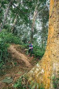 BIB: 
                            <button type="button" onclick="openModal(24856610)" class="btn btn-primary btn-sm float-right btn-popup" data-toggle="modal" data-target=".modal-high-quality">
                        <i class="fas fa-shopping-cart"></i> Add to Cart
                    </button>
                                            <button type="button" onclick="isThisMe(24856610, true)" class="btn btn-success btn-sm float-right btn-popup btn-isme hidden" data-toggle="tooltip" data-placement="bottom" title="นี่คือรูปของคุณใช่ไหม คลิกที่นี่เพื่อเอาเข้าอัลบั้ม">
                        <i class="fas fa-plus"></i> Add to album
                    </button>
                    <button type="button" onclick="isThisMe(24856610, false)" class="btn btn-warning btn-sm float-right btn-popup btn-isnotme hidden">
                        <i class="fas fa-ban"></i> Remove from album
                    </button>