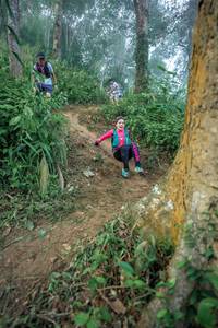 BIB: 
                            <button type="button" onclick="openModal(24852084)" class="btn btn-primary btn-sm float-right btn-popup" data-toggle="modal" data-target=".modal-high-quality">
                        <i class="fas fa-shopping-cart"></i> Add to Cart
                    </button>
                                            <button type="button" onclick="isThisMe(24852084, true)" class="btn btn-success btn-sm float-right btn-popup btn-isme hidden" data-toggle="tooltip" data-placement="bottom" title="นี่คือรูปของคุณใช่ไหม คลิกที่นี่เพื่อเอาเข้าอัลบั้ม">
                        <i class="fas fa-plus"></i> Add to album
                    </button>
                    <button type="button" onclick="isThisMe(24852084, false)" class="btn btn-warning btn-sm float-right btn-popup btn-isnotme hidden">
                        <i class="fas fa-ban"></i> Remove from album
                    </button>