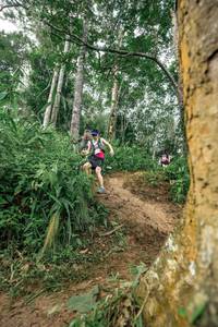 BIB: 
                            <button type="button" onclick="openModal(24856349)" class="btn btn-primary btn-sm float-right btn-popup" data-toggle="modal" data-target=".modal-high-quality">
                        <i class="fas fa-shopping-cart"></i> Add to Cart
                    </button>
                                            <button type="button" onclick="isThisMe(24856349, true)" class="btn btn-success btn-sm float-right btn-popup btn-isme hidden" data-toggle="tooltip" data-placement="bottom" title="นี่คือรูปของคุณใช่ไหม คลิกที่นี่เพื่อเอาเข้าอัลบั้ม">
                        <i class="fas fa-plus"></i> Add to album
                    </button>
                    <button type="button" onclick="isThisMe(24856349, false)" class="btn btn-warning btn-sm float-right btn-popup btn-isnotme hidden">
                        <i class="fas fa-ban"></i> Remove from album
                    </button>