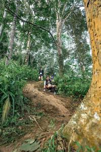 BIB: 
                            <button type="button" onclick="openModal(24856663)" class="btn btn-primary btn-sm float-right btn-popup" data-toggle="modal" data-target=".modal-high-quality">
                        <i class="fas fa-shopping-cart"></i> Add to Cart
                    </button>
                                            <button type="button" onclick="isThisMe(24856663, true)" class="btn btn-success btn-sm float-right btn-popup btn-isme hidden" data-toggle="tooltip" data-placement="bottom" title="นี่คือรูปของคุณใช่ไหม คลิกที่นี่เพื่อเอาเข้าอัลบั้ม">
                        <i class="fas fa-plus"></i> Add to album
                    </button>
                    <button type="button" onclick="isThisMe(24856663, false)" class="btn btn-warning btn-sm float-right btn-popup btn-isnotme hidden">
                        <i class="fas fa-ban"></i> Remove from album
                    </button>