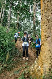 BIB: 
                            <button type="button" onclick="openModal(24856196)" class="btn btn-primary btn-sm float-right btn-popup" data-toggle="modal" data-target=".modal-high-quality">
                        <i class="fas fa-shopping-cart"></i> Add to Cart
                    </button>
                                            <button type="button" onclick="isThisMe(24856196, true)" class="btn btn-success btn-sm float-right btn-popup btn-isme hidden" data-toggle="tooltip" data-placement="bottom" title="นี่คือรูปของคุณใช่ไหม คลิกที่นี่เพื่อเอาเข้าอัลบั้ม">
                        <i class="fas fa-plus"></i> Add to album
                    </button>
                    <button type="button" onclick="isThisMe(24856196, false)" class="btn btn-warning btn-sm float-right btn-popup btn-isnotme hidden">
                        <i class="fas fa-ban"></i> Remove from album
                    </button>